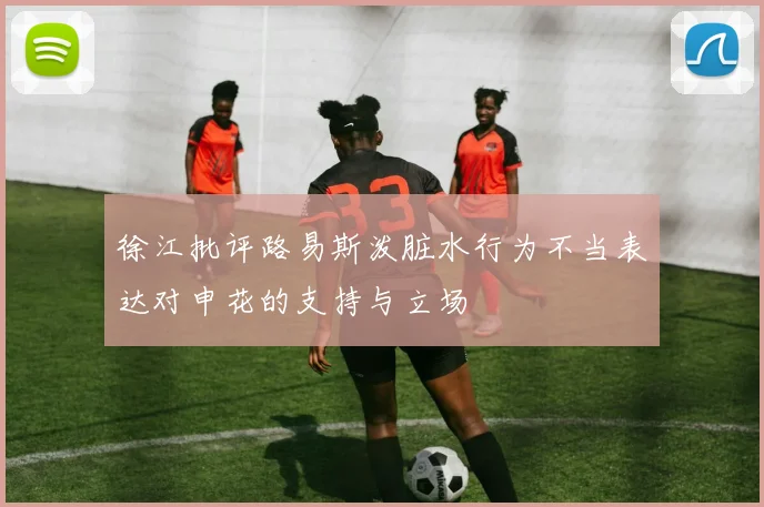 徐江批评路易斯泼脏水行为不当表达对申花的支持与立场
