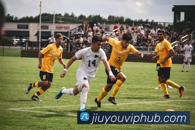 多媒体互动体验